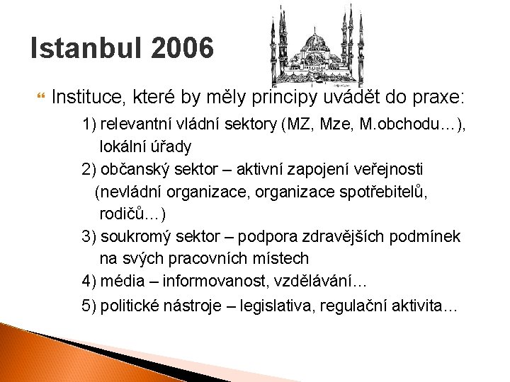 Istanbul 2006 Instituce, které by měly principy uvádět do praxe: 1) relevantní vládní sektory