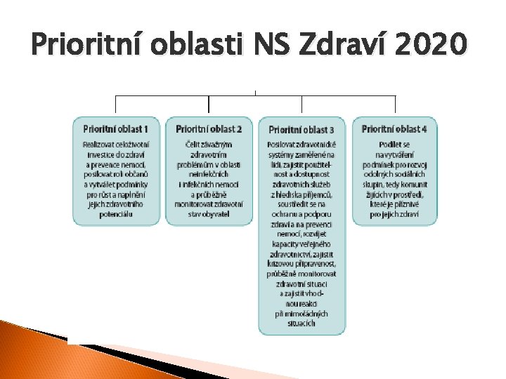 Prioritní oblasti NS Zdraví 2020 