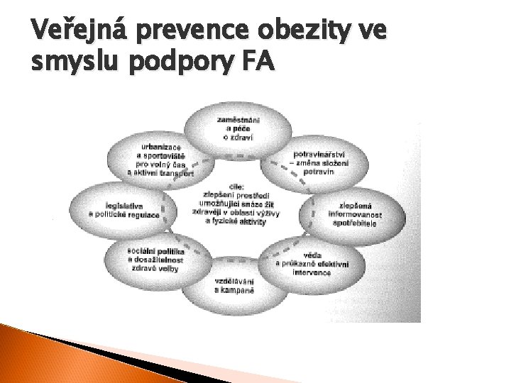 Veřejná prevence obezity ve smyslu podpory FA 