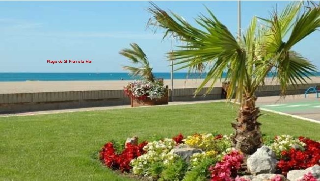 Plage de St Pierre la Mer 