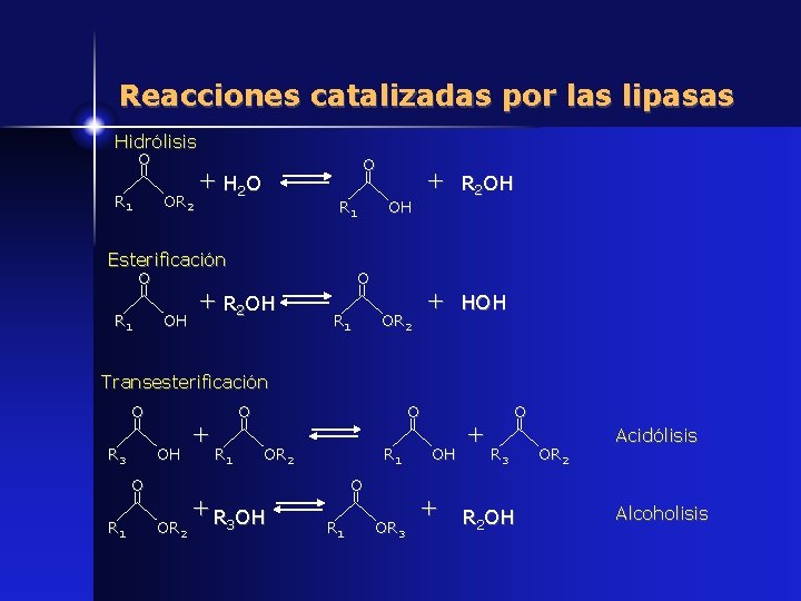 Reacciones catalizadas por las lipasas Hidrólisis O R 1 OR 2 O + H
