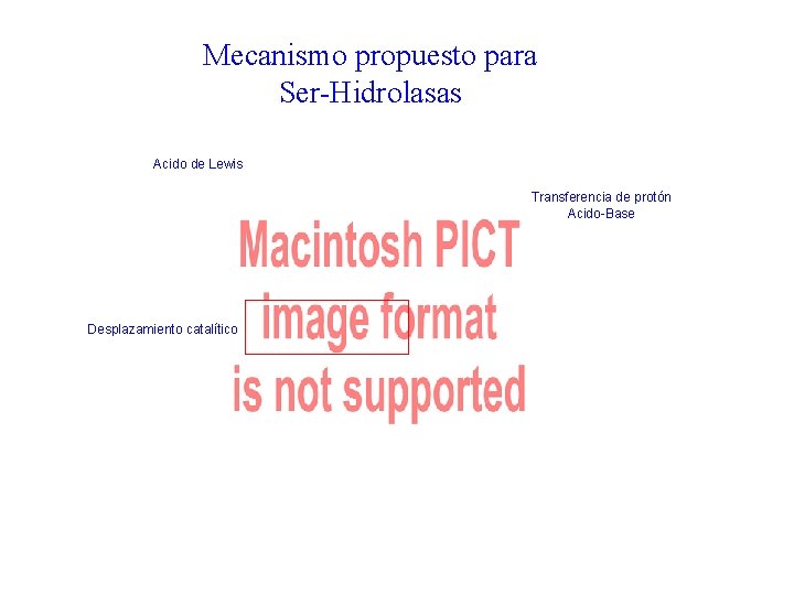 Mecanismo propuesto para Ser-Hidrolasas Acido de Lewis Transferencia de protón Acido-Base Desplazamiento catalítico 51