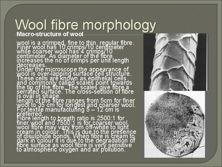 Wool fibre morphology Macro-structure of wool is a crimped, fine to thin, regular fibre.