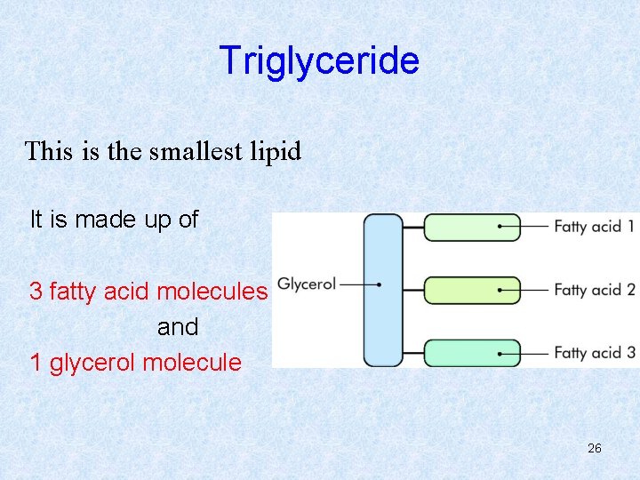 Triglyceride This is the smallest lipid It is made up of 3 fatty acid