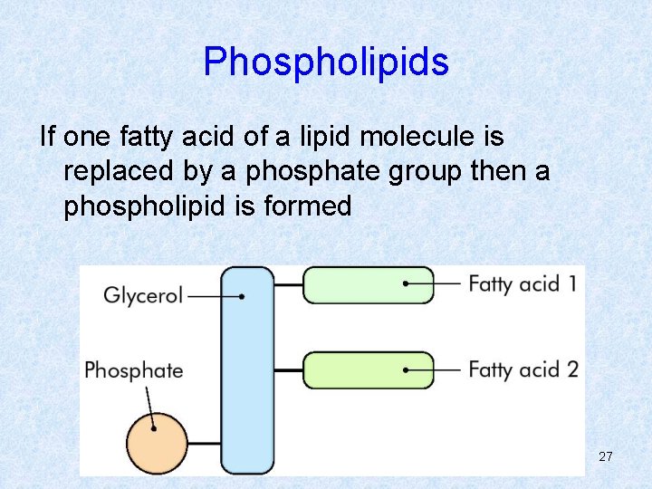 Phospholipids If one fatty acid of a lipid molecule is replaced by a phosphate