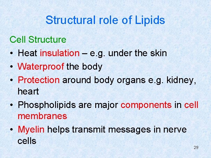 Structural role of Lipids Cell Structure • Heat insulation – e. g. under the