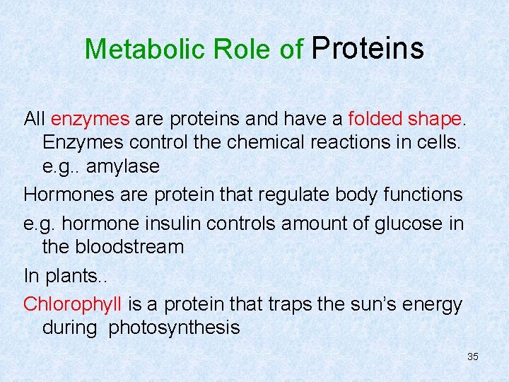 Metabolic Role of Proteins All enzymes are proteins and have a folded shape. Enzymes