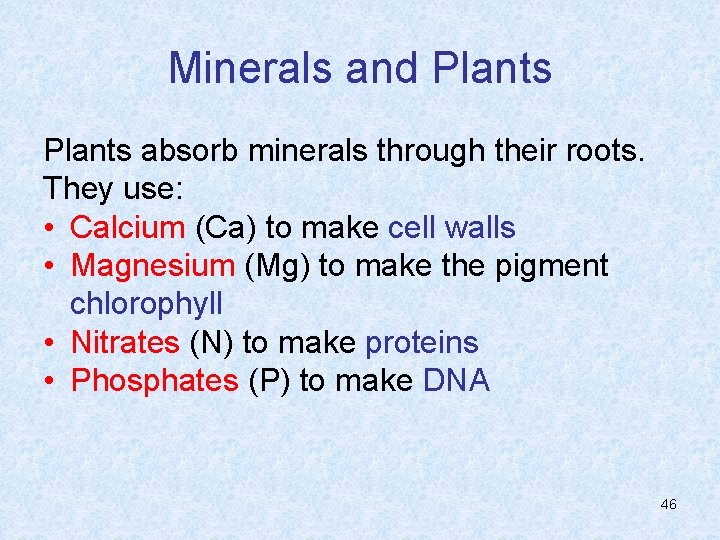 Minerals and Plants absorb minerals through their roots. They use: • Calcium (Ca) to