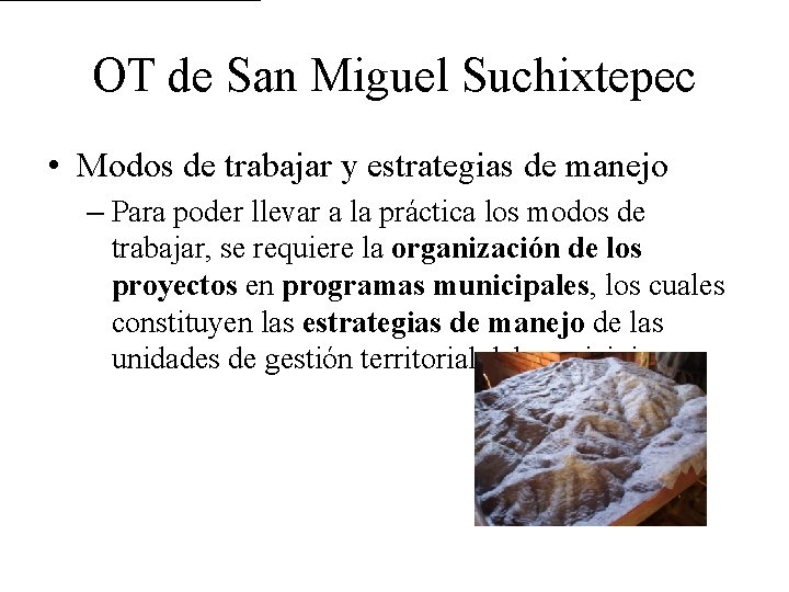 OT de San Miguel Suchixtepec • Modos de trabajar y estrategias de manejo –