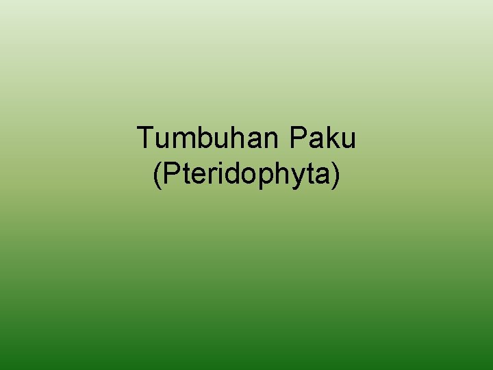 Tumbuhan Paku (Pteridophyta) 