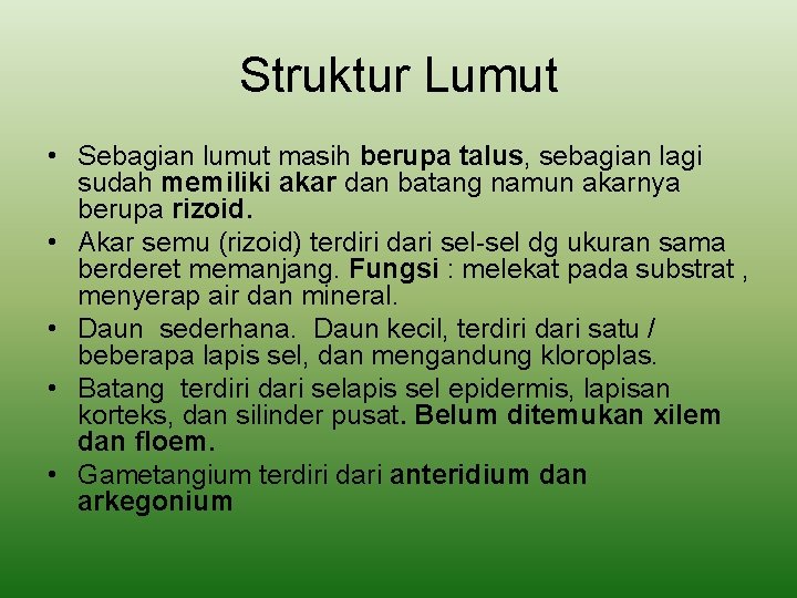 Struktur Lumut • Sebagian lumut masih berupa talus, sebagian lagi sudah memiliki akar dan