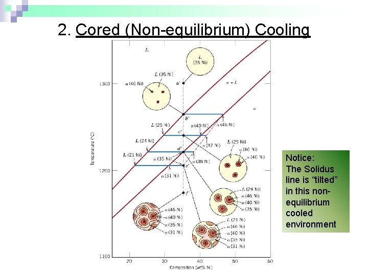 2. Cored (Non-equilibrium) Cooling Notice: The Solidus line is “tilted” in this nonequilibrium cooled