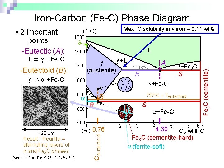 Iron-Carbon (Fe-C) Phase Diagram L Þ + Fe 3 C -Eutectoid (B): Max. C