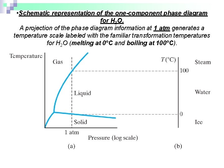  • Schematic representation of the one-component phase diagram for H 2 O. A