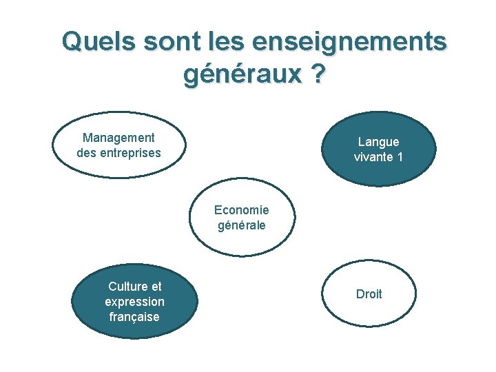 Quels sont les enseignements généraux ? Management des entreprises Langue vivante 1 Economie générale