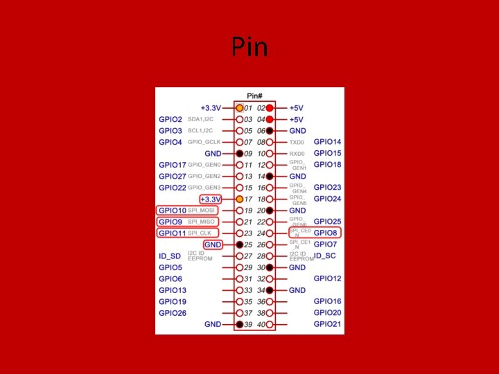 Pin 