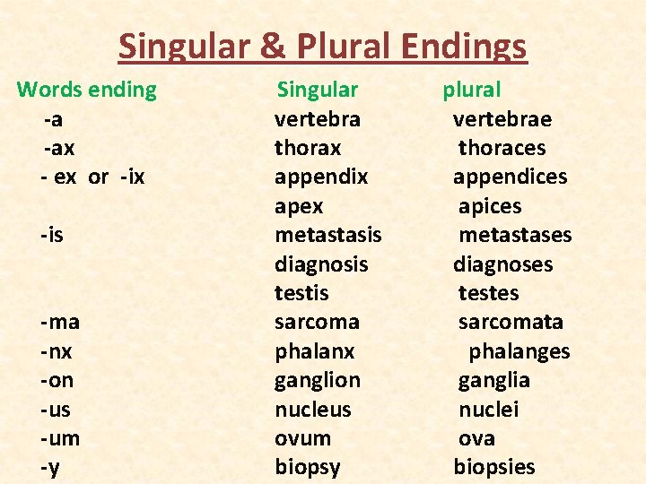 Singular & Plural Endings Words ending -a -ax - ex or -ix -is -ma