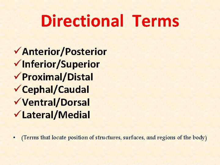 Directional Terms üAnterior/Posterior üInferior/Superior üProximal/Distal üCephal/Caudal üVentral/Dorsal üLateral/Medial • (Terms that locate position of