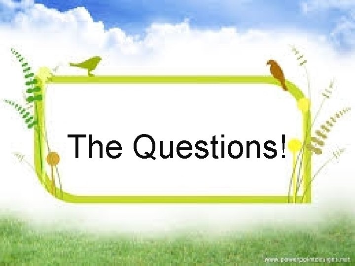 The Questions! The Questions!