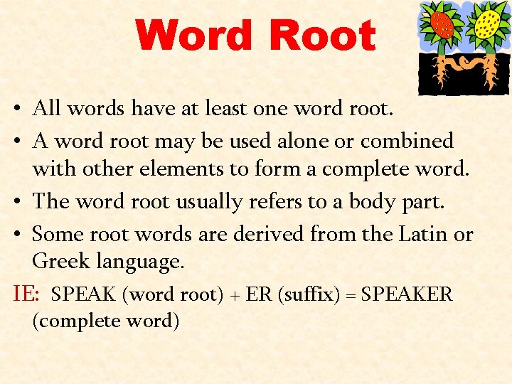 Word Root • All words have at least one word root. • A word Word Root • All words have at least one word root. • A word