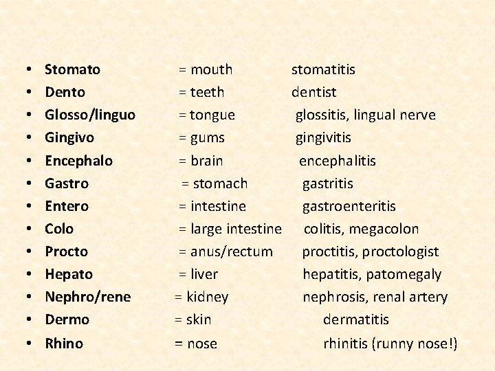  • • • • Stomato Dento Glosso/linguo Gingivo Encephalo Gastro Entero Colo Procto