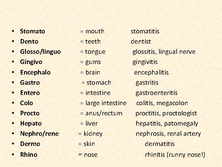 • • • • Stomato Dento Glosso/linguo Gingivo Encephalo Gastro Entero Colo Procto • • • • Stomato Dento Glosso/linguo Gingivo Encephalo Gastro Entero Colo Procto