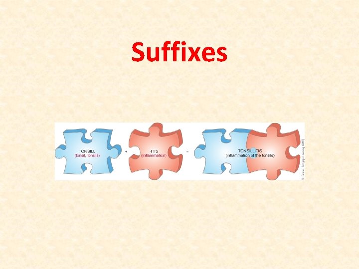 Suffixes Suffixes