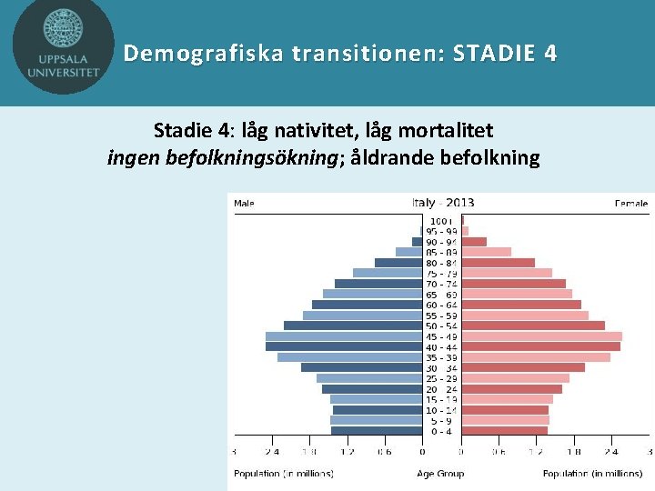 Demografiska transitionen: STADIE 4 Stadie 4: låg nativitet, låg mortalitet ingen befolkningsökning; åldrande befolkning