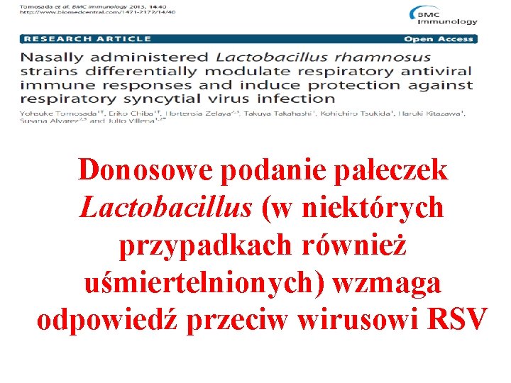 Donosowe podanie pałeczek Lactobacillus (w niektórych przypadkach również uśmiertelnionych) wzmaga odpowiedź przeciw wirusowi RSV