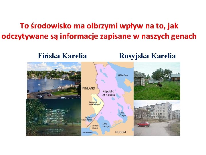 To środowisko ma olbrzymi wpływ na to, jak odczytywane są informacje zapisane w naszych