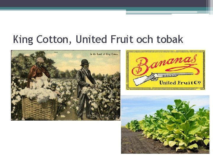 King Cotton, United Fruit och tobak 