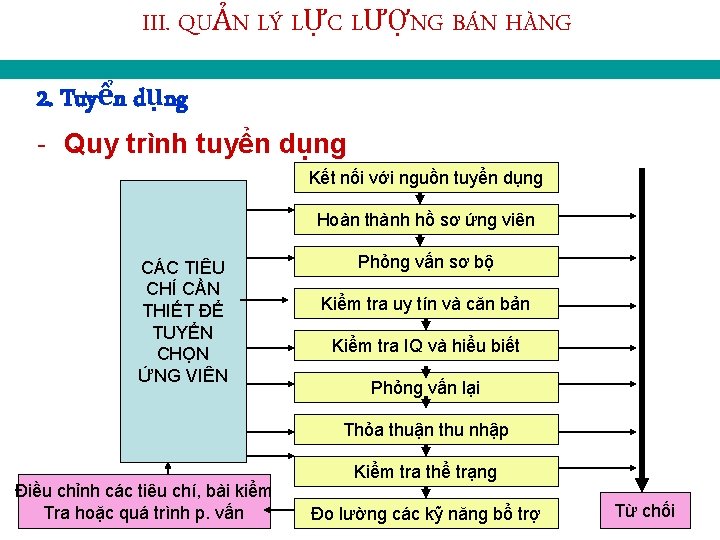 III. QUẢN LÝ LỰC LƯỢNG BÁN HÀNG 2. Tuyển dụng - Quy trình tuyển