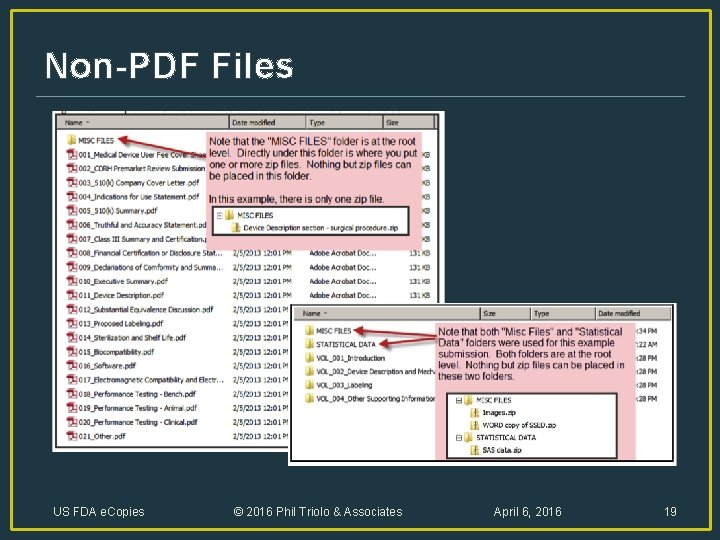 Non-PDF Files US FDA e. Copies © 2016 Phil Triolo & Associates April 6,