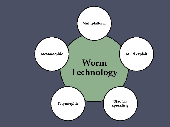 Multiplatform Metamorphic Multi-exploit Worm Technology Polymorphic Ultrafast spreading 