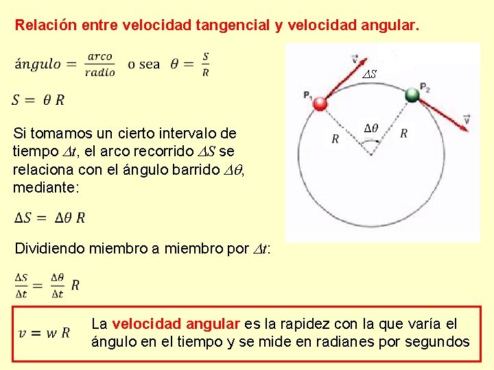 Relación entre velocidad tangencial y velocidad angular. S Si tomamos un cierto intervalo de