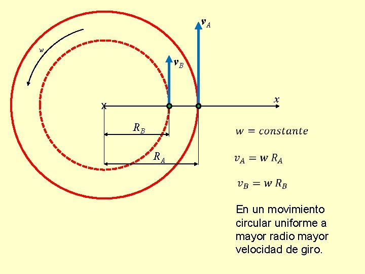 v. A w v. B x x RB RA En un movimiento circular uniforme