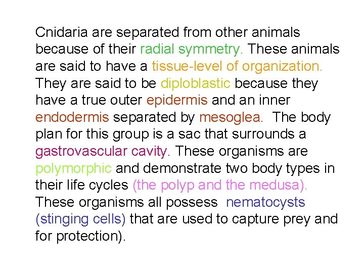 Cnidaria are separated from other animals because of their radial symmetry. These animals are