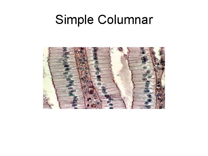 Simple Columnar 