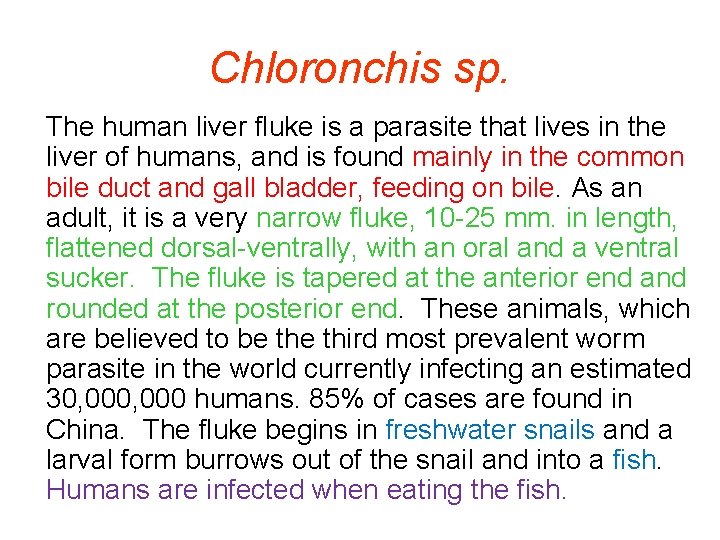 Chloronchis sp. The human liver fluke is a parasite that lives in the liver