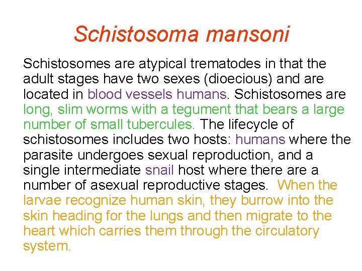 Schistosoma mansoni Schistosomes are atypical trematodes in that the adult stages have two sexes