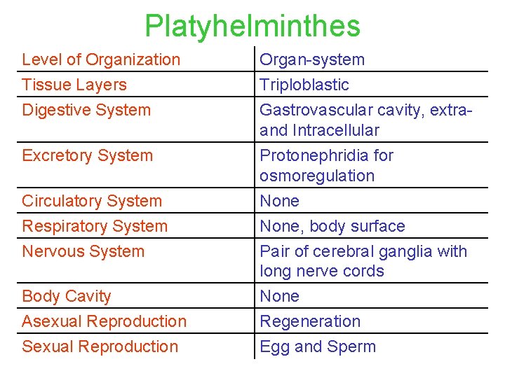 Platyhelminthes Level of Organization Tissue Layers Organ-system Triploblastic Digestive System Gastrovascular cavity, extraand Intracellular