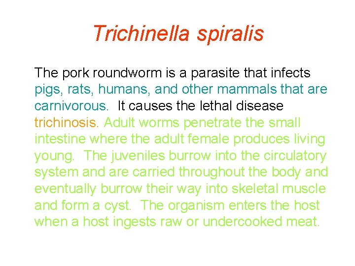 Trichinella spiralis The pork roundworm is a parasite that infects pigs, rats, humans, and