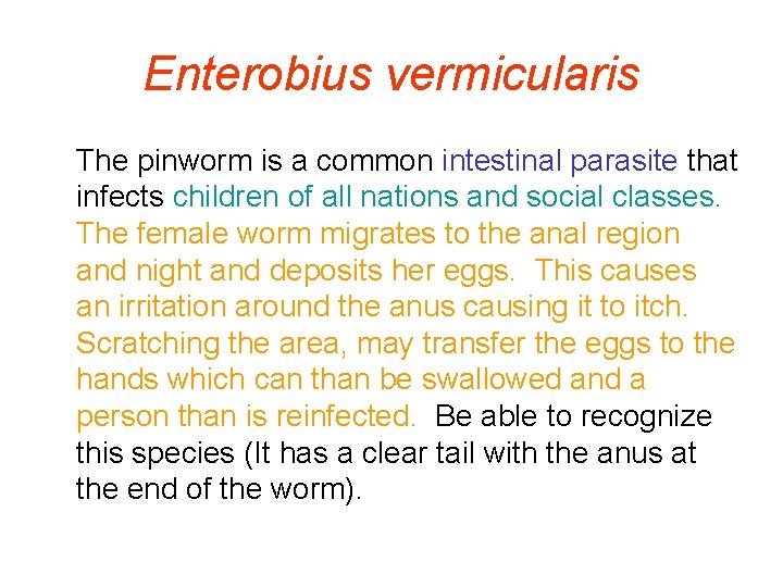 Enterobius vermicularis The pinworm is a common intestinal parasite that infects children of all