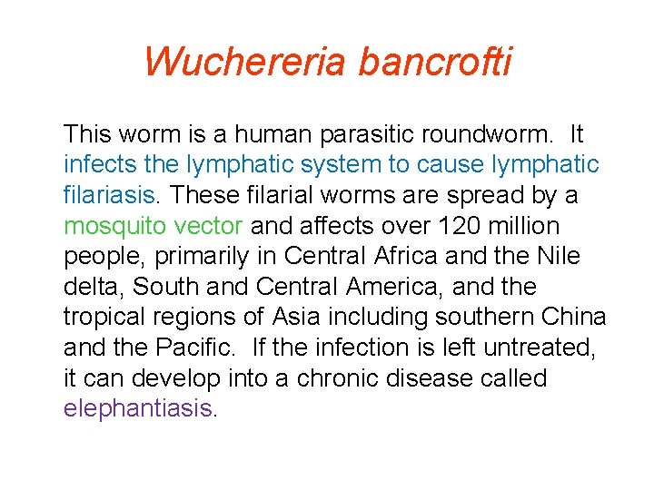 Wuchereria bancrofti This worm is a human parasitic roundworm. It infects the lymphatic system