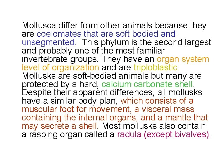 Mollusca differ from other animals because they are coelomates that are soft bodied and