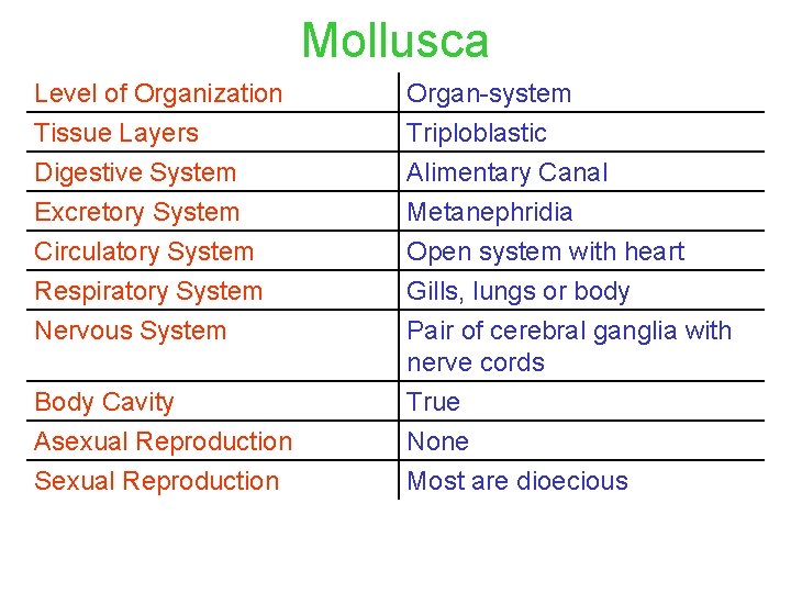 Mollusca Level of Organization Tissue Layers Organ-system Triploblastic Digestive System Excretory System Circulatory System