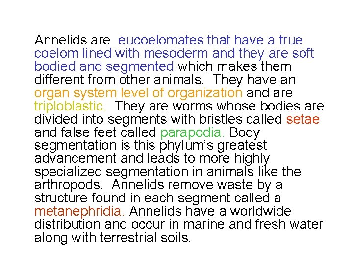 Annelids are eucoelomates that have a true coelom lined with mesoderm and they are