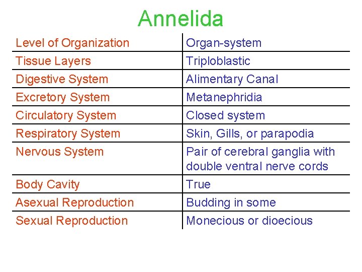 Annelida Level of Organization Tissue Layers Organ-system Triploblastic Digestive System Excretory System Circulatory System