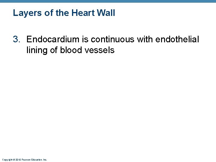 Layers of the Heart Wall 3. Endocardium is continuous with endothelial lining of blood