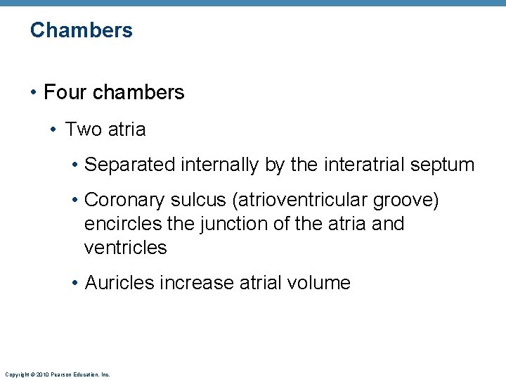 Chambers • Four chambers • Two atria • Separated internally by the interatrial septum